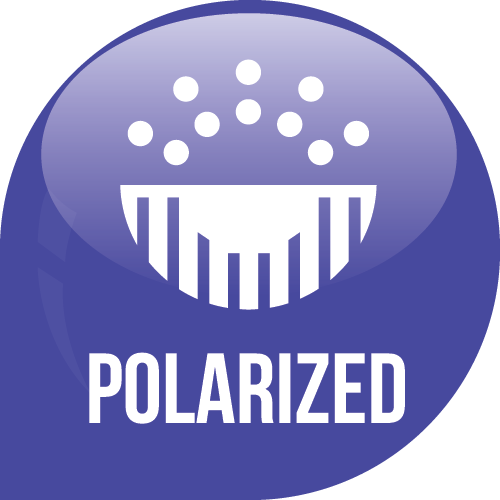 Polarized Icon