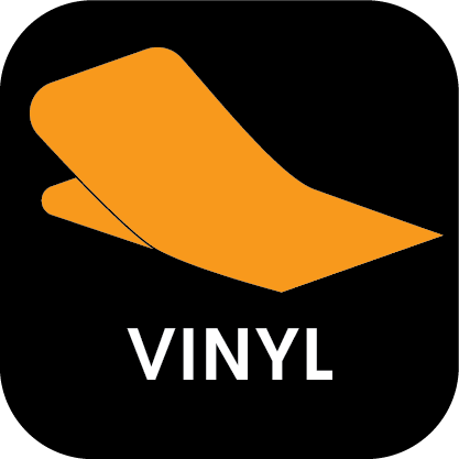 /vinyl Icon
