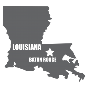 Louisiana State Image